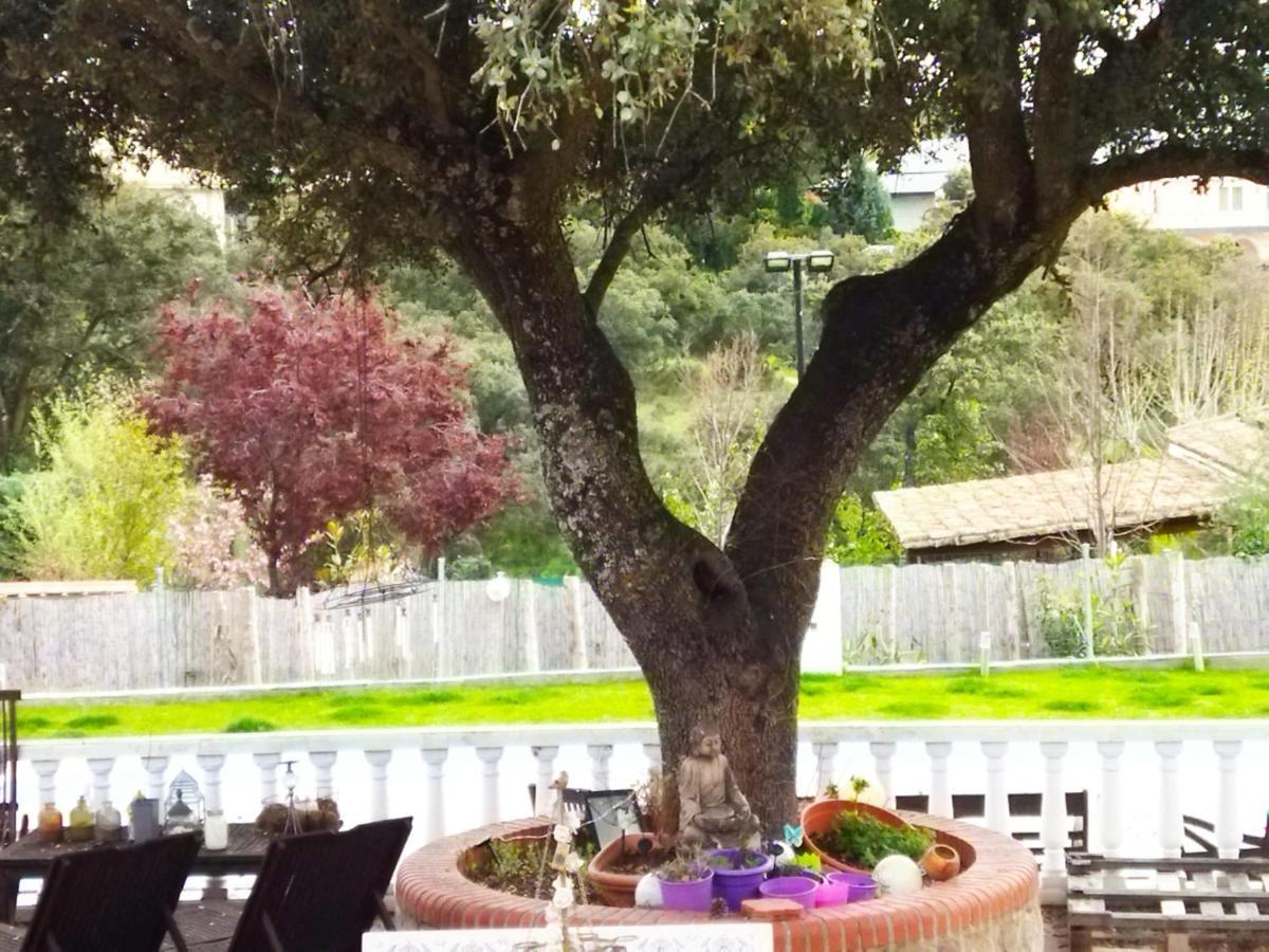 Lovely Home Nearby Madrid To Enjoy Nature 비야비씨오사데오돈 외부 사진